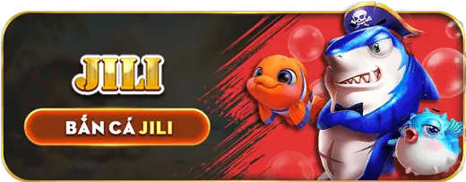 Hỗ trợ và FAQ về ưu đãi tiền gửi 13win